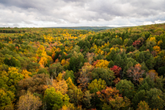 Pennsylvania Fall Colors