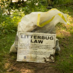 Litterbug Law Poster