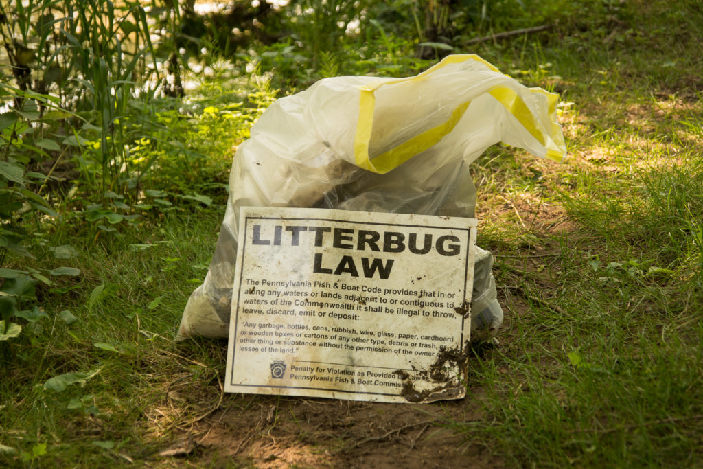 Litterbug Law Poster
