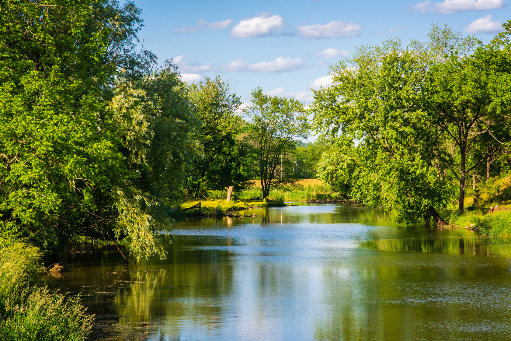 Conestoga River in the Summer