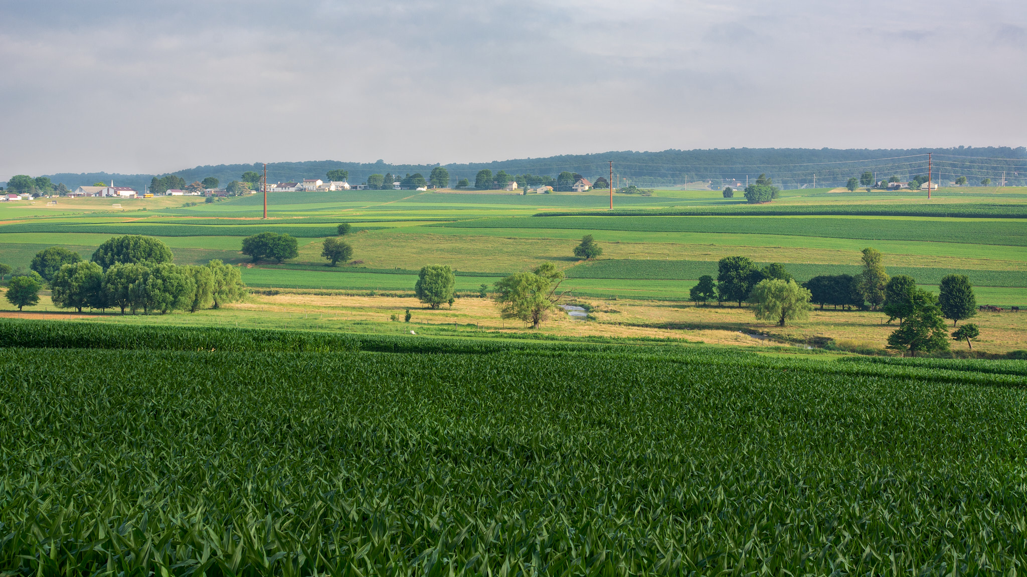 Conestoga River Watershed