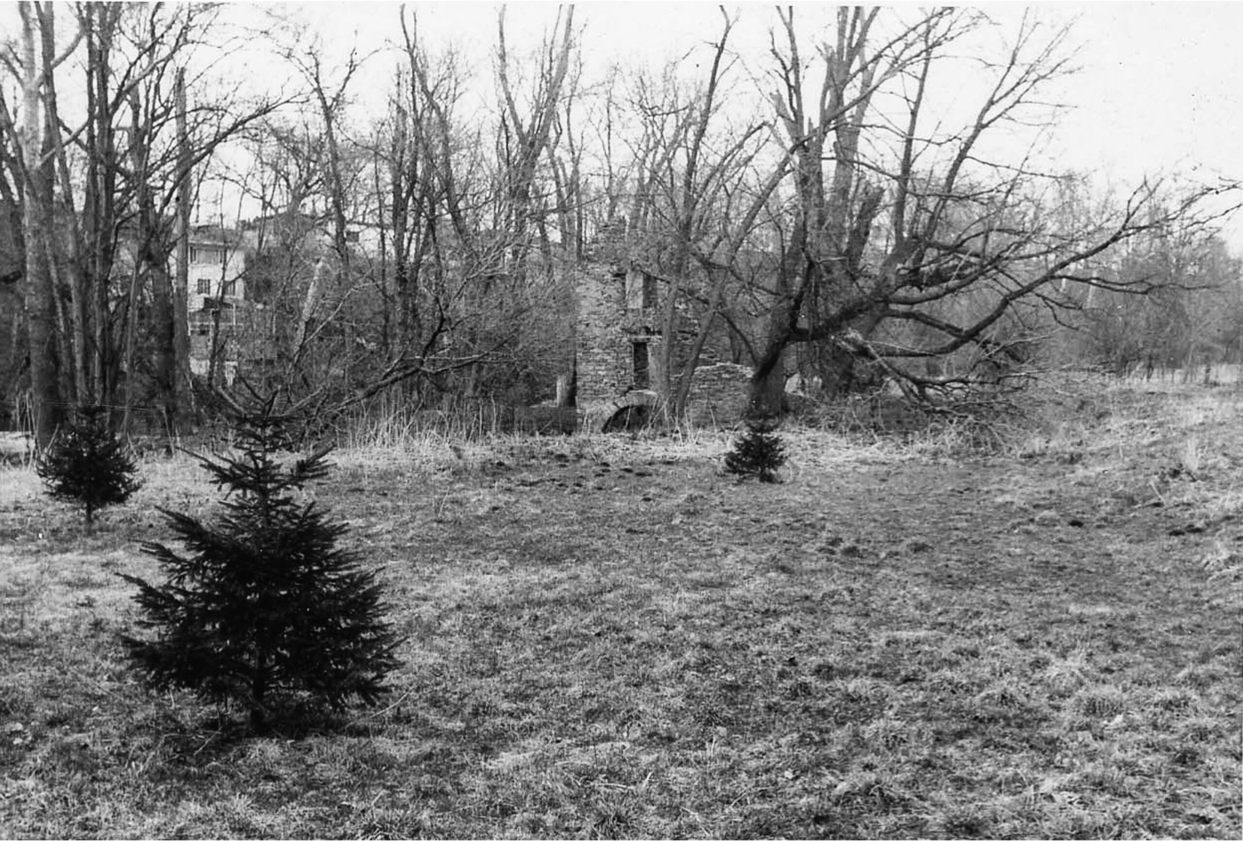 Henry Leman's Boring Mill ruins.